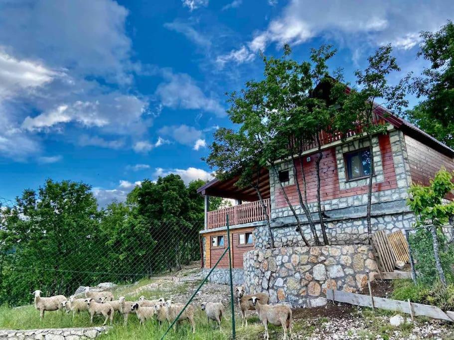 Mountain Village House 센틴제 외부 사진