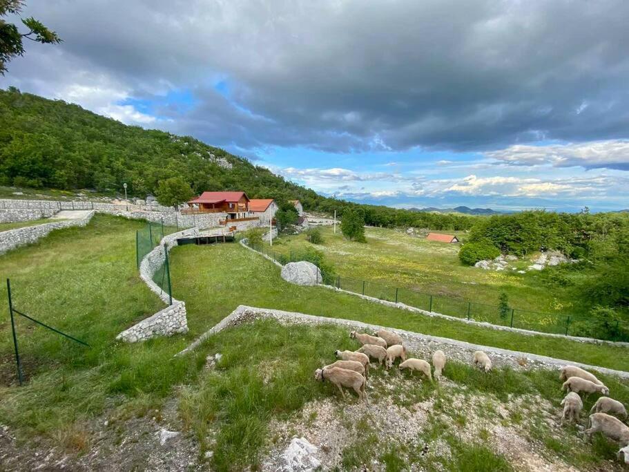 Mountain Village House 센틴제 외부 사진
