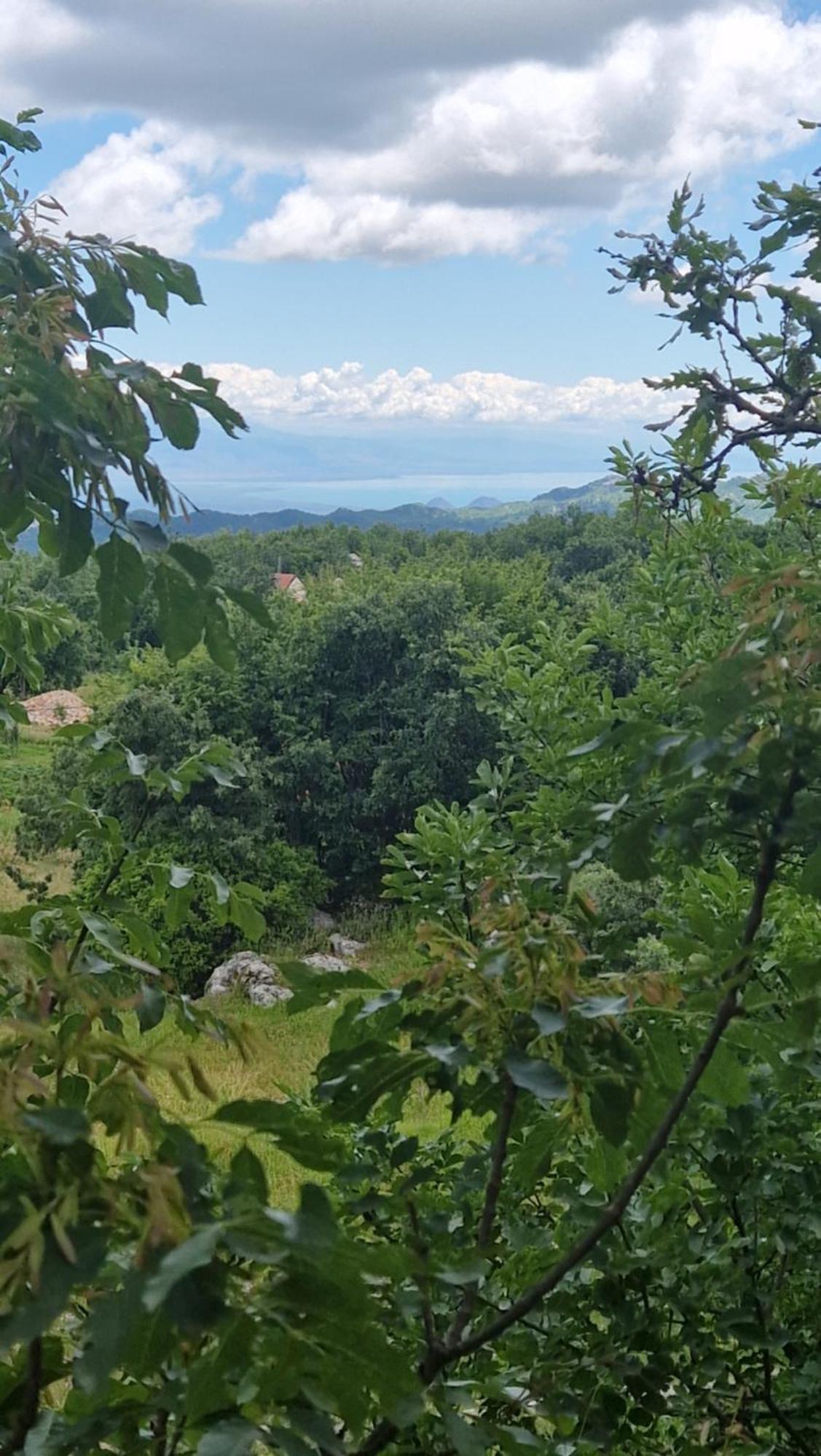 Mountain Village House 센틴제 외부 사진